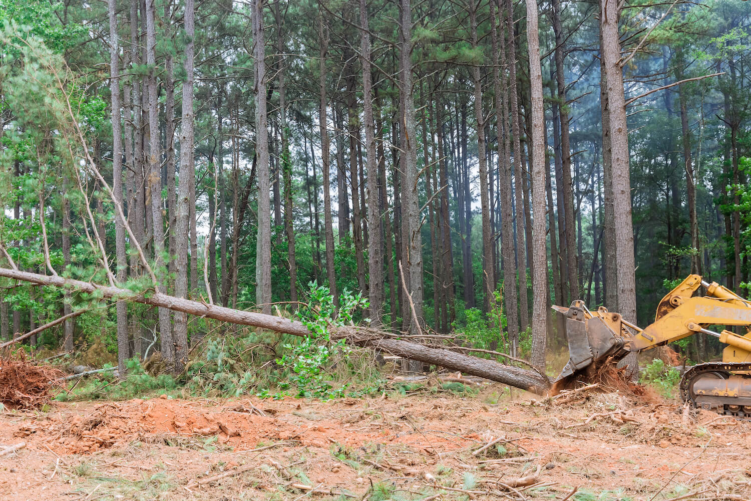 Land Clearing and Excavation: The Benefits for Your Property