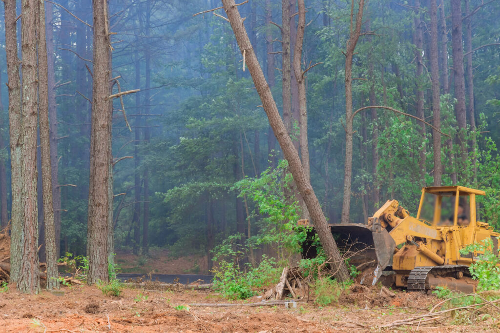 how land clearing can increase land value