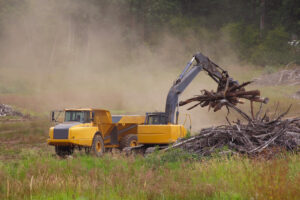 why you should hire a professional land clearing company services property clearing plants project fire health