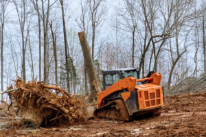 why you should consider professional tree and stump removal services