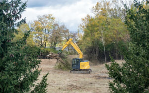 Why Land Clearing Can Be So Important Before Selling a Property job tree care service work care make lot