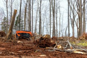 Why Land Clearing Services Are So Vital in Construction and Land Management