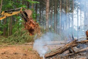 How Can Land Clearing Help with Fire Prevention risk access design inspect