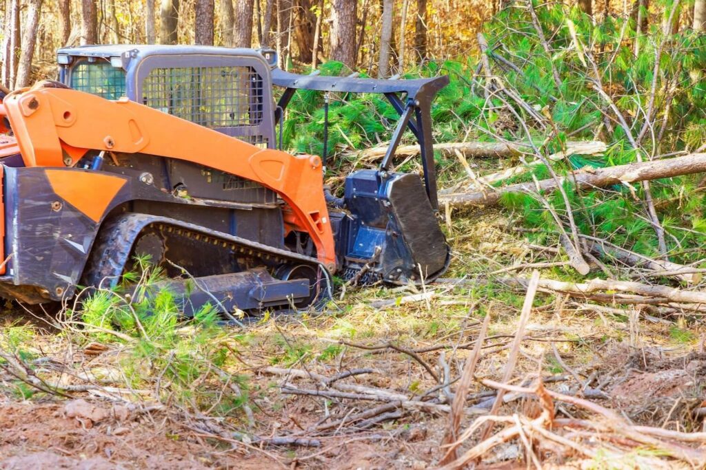 Is Professional Brush Mulching or Land Clearing Services Right for Your Construction Project services tree forestry clear brush mulching