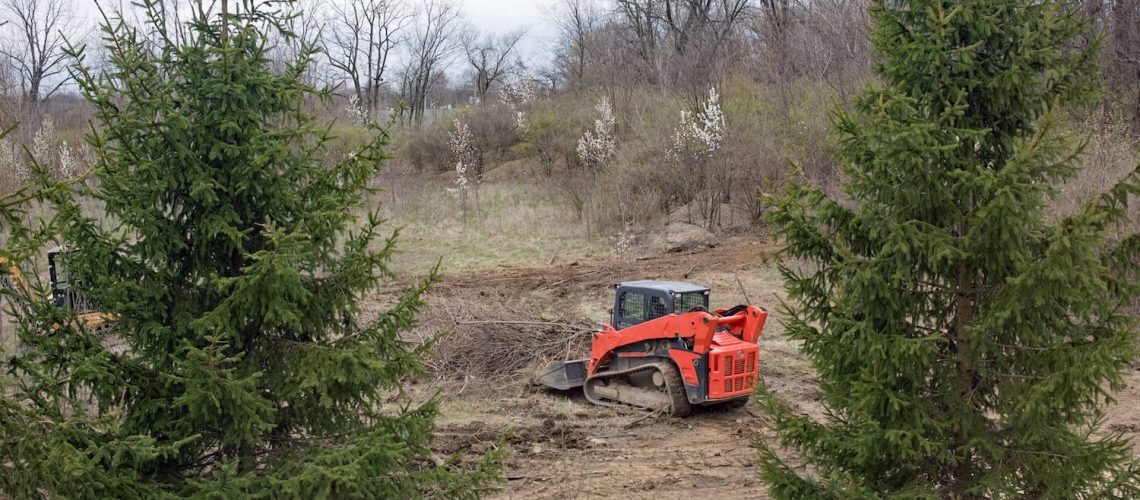 Why You Should Get Land Clearing Services Done in the Fall cold