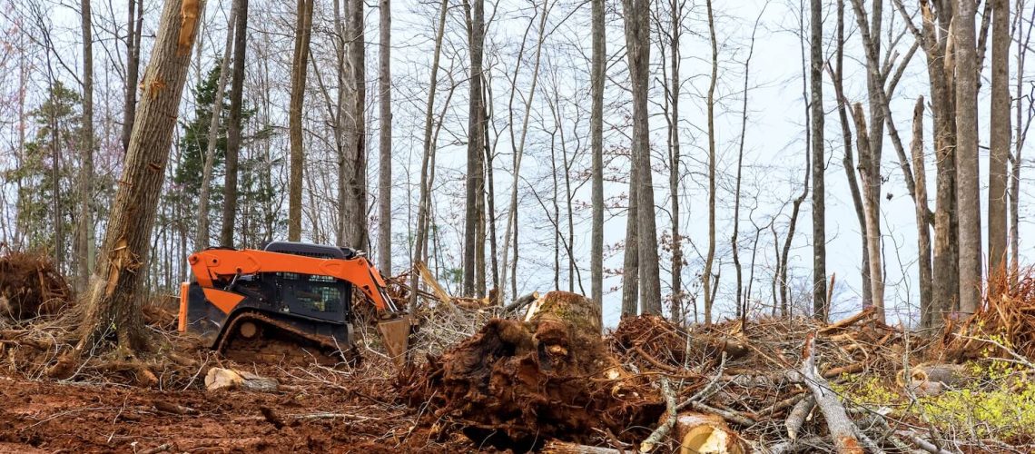 Why Land Clearing Services Are So Vital in Construction and Land Management