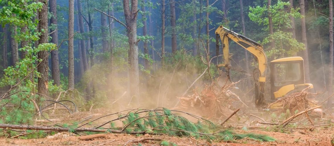 How to Hire the Best Land Clearing Company Near Me project great work