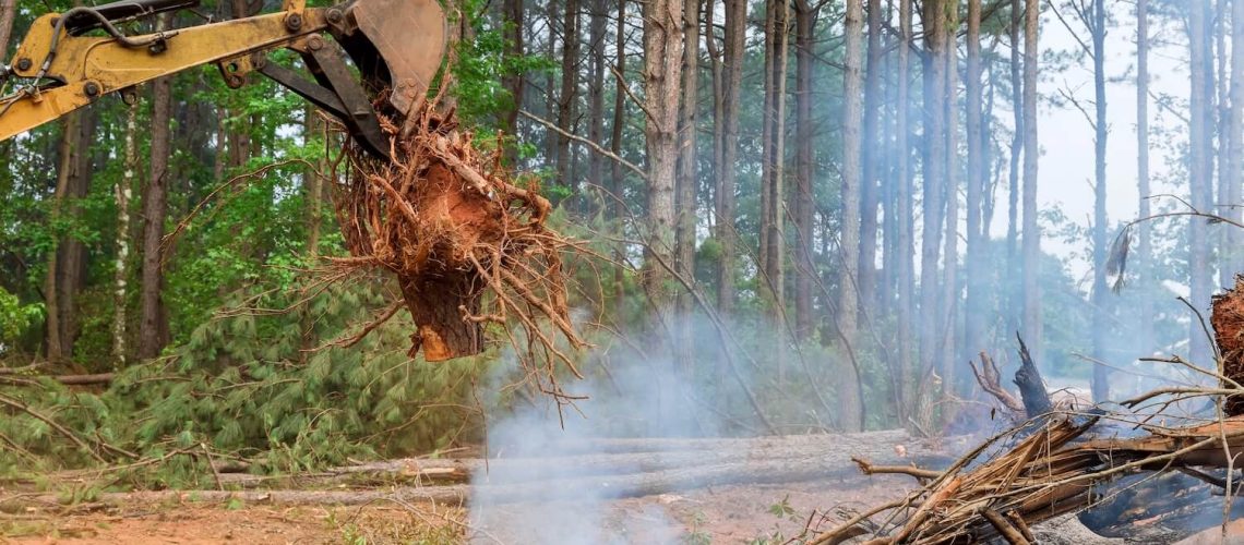 How Can Land Clearing Help with Fire Prevention risk access design inspect