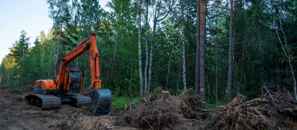 Best Land Clearing Services